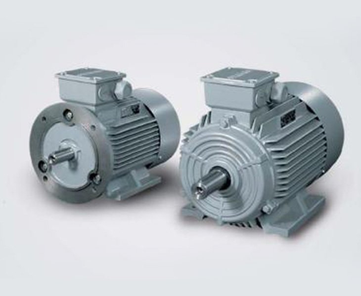 High Torque Double Shaft Shredder